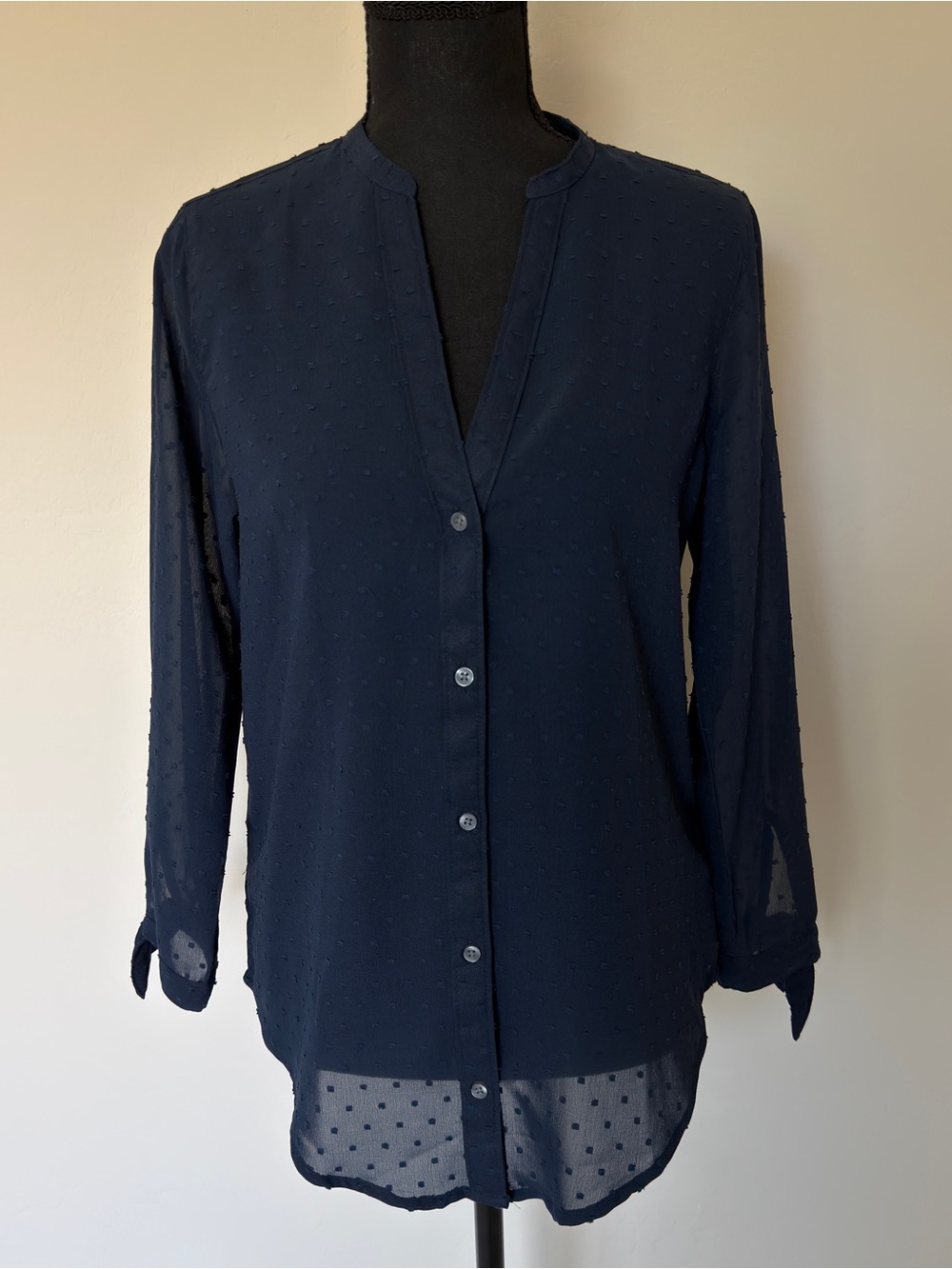 Abercrombie & Fitch Navy Swiss Dot Button-Down Blouse Small